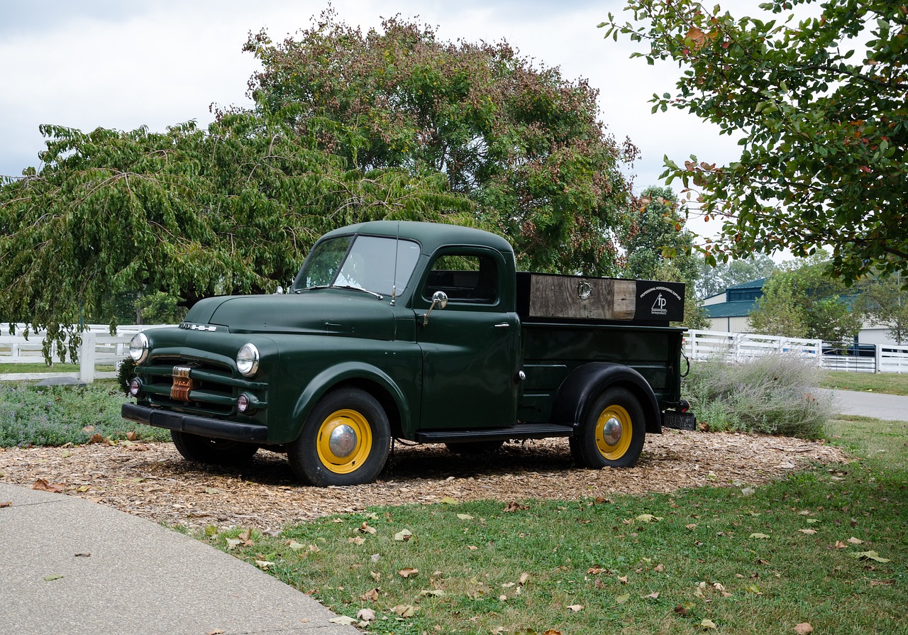 广佛两地最新消息综述,一览最新动态与进展