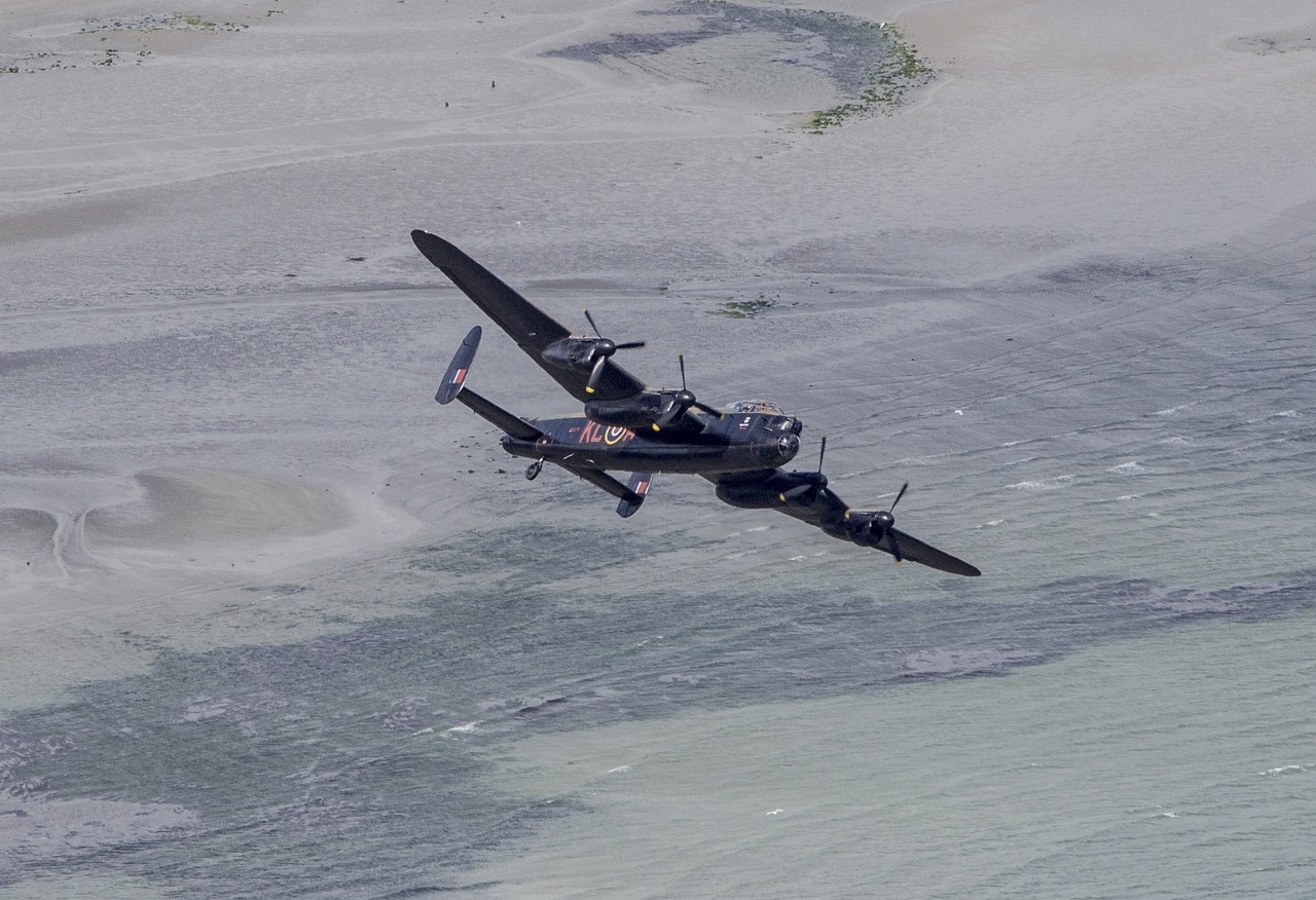 皇灾最新消息全面解析与动态更新