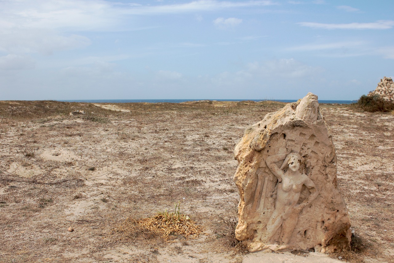博物馆最新动态,探索历史与文化的前沿